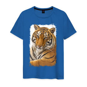 Мужская футболка хлопок с принтом Тигр (retro style) в Курске, 100% хлопок | прямой крой, круглый вырез горловины, длина до линии бедер, слегка спущенное плечо. | tiger | дикая кошка | тигр | хищник