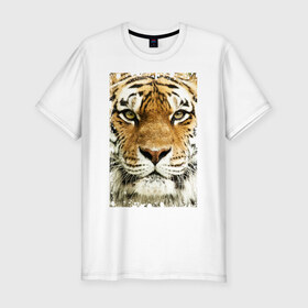 Мужская футболка премиум с принтом Тигр (retro style) в Курске, 92% хлопок, 8% лайкра | приталенный силуэт, круглый вырез ворота, длина до линии бедра, короткий рукав | tiger | дикая кошка | тигр | хищник
