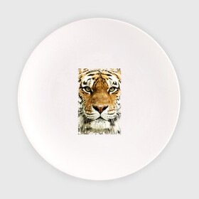 Тарелка с принтом Тигр (retro style) в Курске, фарфор | диаметр - 210 мм
диаметр для нанесения принта - 120 мм | tiger | дикая кошка | тигр | хищник