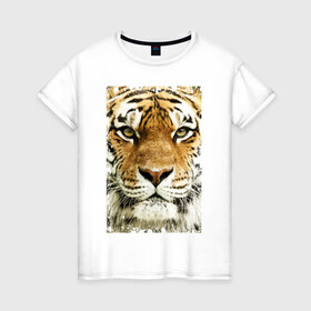 Женская футболка хлопок с принтом Тигр (retro style) в Курске, 100% хлопок | прямой крой, круглый вырез горловины, длина до линии бедер, слегка спущенное плечо | tiger | дикая кошка | тигр | хищник