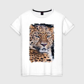 Женская футболка хлопок с принтом Леопард (retro style) в Курске, 100% хлопок | прямой крой, круглый вырез горловины, длина до линии бедер, слегка спущенное плечо | 