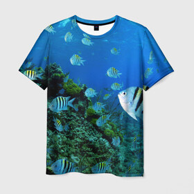 Мужская футболка 3D с принтом Подводный мир в Курске, 100% полиэфир | прямой крой, круглый вырез горловины, длина до линии бедер | дно | океан | природа | рыбки
