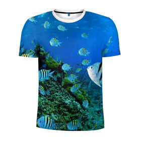 Мужская футболка 3D спортивная с принтом Подводный мир в Курске, 100% полиэстер с улучшенными характеристиками | приталенный силуэт, круглая горловина, широкие плечи, сужается к линии бедра | Тематика изображения на принте: дно | океан | природа | рыбки