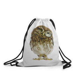 Рюкзак-мешок 3D Сова: в Курске, 100% полиэстер | плотность ткани — 200 г/м2, размер — 35 х 45 см; лямки — толстые шнурки, застежка на шнуровке, без карманов и подкладки | прикольные картинки | птица | сова | ум