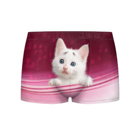 Мужские трусы 3D с принтом Белый котёнок в Курске, 50% хлопок, 50% полиэстер | классическая посадка, на поясе мягкая тканевая резинка | киска | кот | котёнок | кошка | прикольные картинки