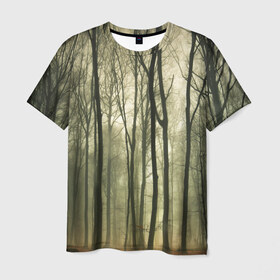 Мужская футболка 3D с принтом Чарующий лес в Курске, 100% полиэфир | прямой крой, круглый вырез горловины, длина до линии бедер | Тематика изображения на принте: красиво | лес | природа | фото