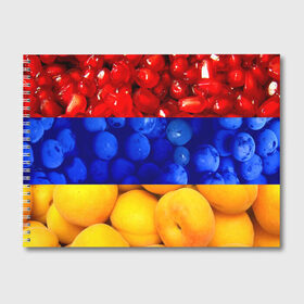 Альбом для рисования с принтом Флаг Армении в Курске, 100% бумага
 | матовая бумага, плотность 200 мг. | армения | гранат | персик | слива | страны | флаг армении | фрукты
