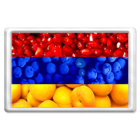 Магнит 45*70 с принтом Флаг Армении в Курске, Пластик | Размер: 78*52 мм; Размер печати: 70*45 | армения | гранат | персик | слива | страны | флаг армении | фрукты