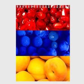 Скетчбук с принтом Флаг Армении в Курске, 100% бумага
 | 48 листов, плотность листов — 100 г/м2, плотность картонной обложки — 250 г/м2. Листы скреплены сверху удобной пружинной спиралью | армения | гранат | персик | слива | страны | флаг армении | фрукты