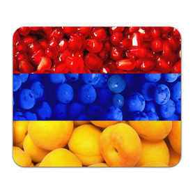 Коврик прямоугольный с принтом Флаг Армении в Курске, натуральный каучук | размер 230 х 185 мм; запечатка лицевой стороны | армения | гранат | персик | слива | страны | флаг армении | фрукты