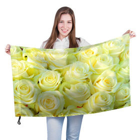 Флаг 3D с принтом Белые розы в Курске, 100% полиэстер | плотность ткани — 95 г/м2, размер — 67 х 109 см. Принт наносится с одной стороны | Тематика изображения на принте: лепесток | природа | роза | цветок | яркая