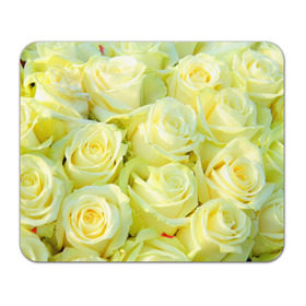 Коврик прямоугольный с принтом Белые розы в Курске, натуральный каучук | размер 230 х 185 мм; запечатка лицевой стороны | лепесток | природа | роза | цветок | яркая