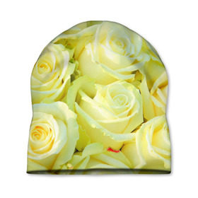 Шапка 3D с принтом Белые розы в Курске, 100% полиэстер | универсальный размер, печать по всей поверхности изделия | лепесток | природа | роза | цветок | яркая