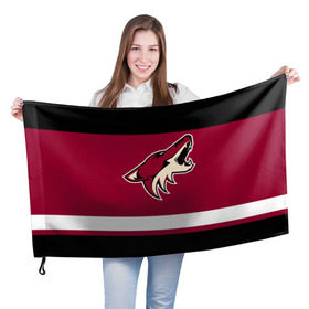 Флаг 3D с принтом Arizona Coyotes в Курске, 100% полиэстер | плотность ткани — 95 г/м2, размер — 67 х 109 см. Принт наносится с одной стороны | arizona coyotes | hockey | nhl | нхл | хоккей