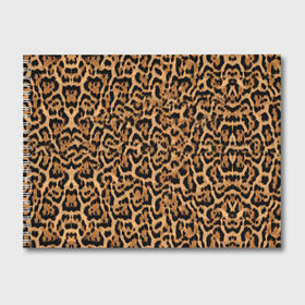 Альбом для рисования с принтом Jaguar в Курске, 100% бумага
 | матовая бумага, плотность 200 мг. | Тематика изображения на принте: оцелот | пума | текстура | ягуар