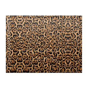 Обложка для студенческого билета с принтом Jaguar в Курске, натуральная кожа | Размер: 11*8 см; Печать на всей внешней стороне | оцелот | пума | текстура | ягуар