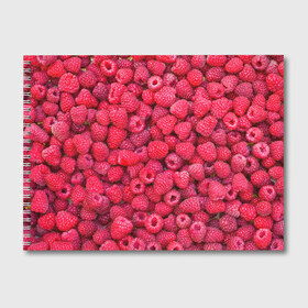 Альбом для рисования с принтом Малинки в Курске, 100% бумага
 | матовая бумага, плотность 200 мг. | raspberry | летняя | ягодн