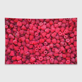 Флаг-баннер с принтом Малинки в Курске, 100% полиэстер | размер 67 х 109 см, плотность ткани — 95 г/м2; по краям флага есть четыре люверса для крепления | raspberry | летняя | ягодн