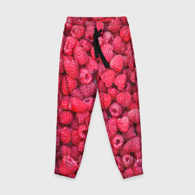 Детские брюки 3D с принтом Малинки в Курске, 100% полиэстер | манжеты по низу, эластичный пояс регулируется шнурком, по бокам два кармана без застежек, внутренняя часть кармана из мелкой сетки | raspberry | летняя | ягодн
