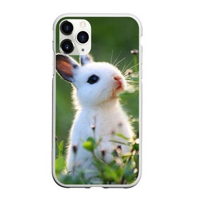 Чехол для iPhone 11 Pro матовый с принтом Кролик в Курске, Силикон |  | animal | baby | cute | flowers | fluffy | hare | lawn | little | meadow | rabbit | животное | заяц | кролик | луг | лужайка | маленький | малыш | милый | пушистый | цветы
