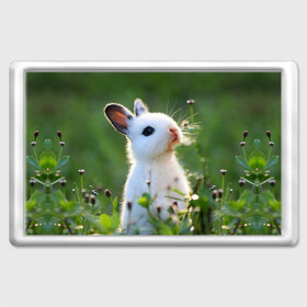 Магнит 45*70 с принтом Кролик в Курске, Пластик | Размер: 78*52 мм; Размер печати: 70*45 | animal | baby | cute | flowers | fluffy | hare | lawn | little | meadow | rabbit | животное | заяц | кролик | луг | лужайка | маленький | малыш | милый | пушистый | цветы