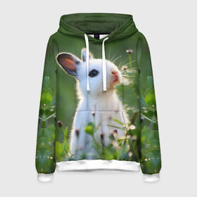 Мужская толстовка 3D с принтом Кролик в Курске, 100% полиэстер | двухслойный капюшон со шнурком для регулировки, мягкие манжеты на рукавах и по низу толстовки, спереди карман-кенгуру с мягким внутренним слоем. | animal | baby | cute | flowers | fluffy | hare | lawn | little | meadow | rabbit | животное | заяц | кролик | луг | лужайка | маленький | малыш | милый | пушистый | цветы