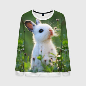 Мужской свитшот 3D с принтом Кролик в Курске, 100% полиэстер с мягким внутренним слоем | круглый вырез горловины, мягкая резинка на манжетах и поясе, свободная посадка по фигуре | animal | baby | cute | flowers | fluffy | hare | lawn | little | meadow | rabbit | животное | заяц | кролик | луг | лужайка | маленький | малыш | милый | пушистый | цветы