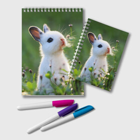 Блокнот с принтом Кролик в Курске, 100% бумага | 48 листов, плотность листов — 60 г/м2, плотность картонной обложки — 250 г/м2. Листы скреплены удобной пружинной спиралью. Цвет линий — светло-серый
 | Тематика изображения на принте: animal | baby | cute | flowers | fluffy | hare | lawn | little | meadow | rabbit | животное | заяц | кролик | луг | лужайка | маленький | малыш | милый | пушистый | цветы