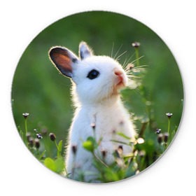 Коврик круглый с принтом Кролик в Курске, резина и полиэстер | круглая форма, изображение наносится на всю лицевую часть | Тематика изображения на принте: animal | baby | cute | flowers | fluffy | hare | lawn | little | meadow | rabbit | животное | заяц | кролик | луг | лужайка | маленький | малыш | милый | пушистый | цветы