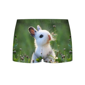 Мужские трусы 3D с принтом Кролик в Курске, 50% хлопок, 50% полиэстер | классическая посадка, на поясе мягкая тканевая резинка | Тематика изображения на принте: animal | baby | cute | flowers | fluffy | hare | lawn | little | meadow | rabbit | животное | заяц | кролик | луг | лужайка | маленький | малыш | милый | пушистый | цветы