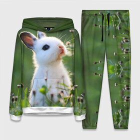 Женский костюм 3D (с толстовкой) с принтом Кролик в Курске,  |  | animal | baby | cute | flowers | fluffy | hare | lawn | little | meadow | rabbit | животное | заяц | кролик | луг | лужайка | маленький | малыш | милый | пушистый | цветы