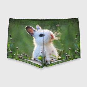 Мужские купальные плавки 3D с принтом Кролик в Курске, Полиэстер 85%, Спандекс 15% |  | Тематика изображения на принте: animal | baby | cute | flowers | fluffy | hare | lawn | little | meadow | rabbit | животное | заяц | кролик | луг | лужайка | маленький | малыш | милый | пушистый | цветы