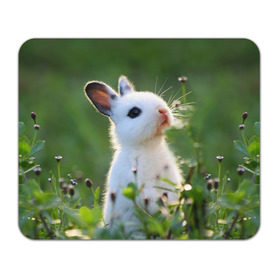 Коврик прямоугольный с принтом Кролик в Курске, натуральный каучук | размер 230 х 185 мм; запечатка лицевой стороны | animal | baby | cute | flowers | fluffy | hare | lawn | little | meadow | rabbit | животное | заяц | кролик | луг | лужайка | маленький | малыш | милый | пушистый | цветы