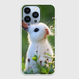 Чехол для iPhone 13 Pro с принтом Кролик в Курске,  |  | animal | baby | cute | flowers | fluffy | hare | lawn | little | meadow | rabbit | животное | заяц | кролик | луг | лужайка | маленький | малыш | милый | пушистый | цветы