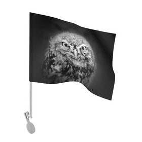 Флаг для автомобиля с принтом Сова в Курске, 100% полиэстер | Размер: 30*21 см | beak | bird | eyes | fear | hypnosis | look | night | owl | predator | взгляд | гипноз | глаза | клюв | ночь | птица | сова | хищник
