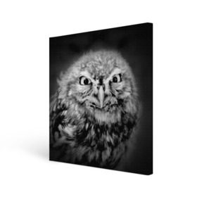 Холст квадратный с принтом Сова в Курске, 100% ПВХ |  | beak | bird | eyes | fear | hypnosis | look | night | owl | predator | взгляд | гипноз | глаза | клюв | ночь | птица | сова | хищник