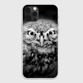 Чехол для iPhone 12 Pro Max с принтом Сова в Курске, Силикон |  | Тематика изображения на принте: beak | bird | eyes | fear | hypnosis | look | night | owl | predator | взгляд | гипноз | глаза | клюв | ночь | птица | сова | хищник
