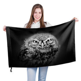 Флаг 3D с принтом Сова в Курске, 100% полиэстер | плотность ткани — 95 г/м2, размер — 67 х 109 см. Принт наносится с одной стороны | beak | bird | eyes | fear | hypnosis | look | night | owl | predator | взгляд | гипноз | глаза | клюв | ночь | птица | сова | хищник