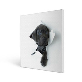 Холст квадратный с принтом щенок Кане Корсо в Курске, 100% ПВХ |  | Тематика изображения на принте: animal | black | break | breed | dog | kid | paper | puppy | tear | torn | дог | животное | малыш | порода | прорыв | разрыв | рваная | собака | черный | щенок