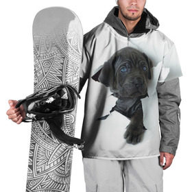 Накидка на куртку 3D с принтом щенок Кане Корсо в Курске, 100% полиэстер |  | animal | black | break | breed | dog | kid | paper | puppy | tear | torn | дог | животное | малыш | порода | прорыв | разрыв | рваная | собака | черный | щенок