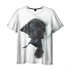 Мужская футболка 3D с принтом щенок Кане Корсо в Курске, 100% полиэфир | прямой крой, круглый вырез горловины, длина до линии бедер | animal | black | break | breed | dog | kid | paper | puppy | tear | torn | дог | животное | малыш | порода | прорыв | разрыв | рваная | собака | черный | щенок