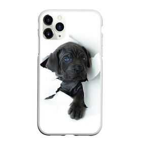 Чехол для iPhone 11 Pro матовый с принтом щенок Кане Корсо в Курске, Силикон |  | animal | black | break | breed | dog | kid | paper | puppy | tear | torn | дог | животное | малыш | порода | прорыв | разрыв | рваная | собака | черный | щенок