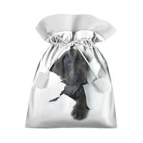 Подарочный 3D мешок с принтом щенок Кане Корсо в Курске, 100% полиэстер | Размер: 29*39 см | Тематика изображения на принте: animal | black | break | breed | dog | kid | paper | puppy | tear | torn | дог | животное | малыш | порода | прорыв | разрыв | рваная | собака | черный | щенок