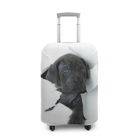 Чехол для чемодана 3D с принтом щенок Кане Корсо в Курске, 86% полиэфир, 14% спандекс | двустороннее нанесение принта, прорези для ручек и колес | animal | black | break | breed | dog | kid | paper | puppy | tear | torn | дог | животное | малыш | порода | прорыв | разрыв | рваная | собака | черный | щенок