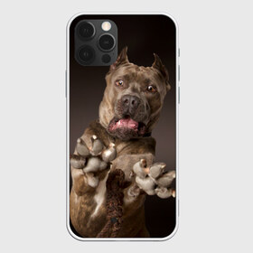 Чехол для iPhone 12 Pro Max с принтом Кане корсо в Курске, Силикон |  | Тематика изображения на принте: animal | breed | brown | dog | fear | jump | legs | throw | бросок | дог | животное | испуг | коричневый | лапы | порода | прыжок | собака