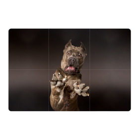 Магнитный плакат 3Х2 с принтом Кане корсо в Курске, Полимерный материал с магнитным слоем | 6 деталей размером 9*9 см | Тематика изображения на принте: animal | breed | brown | dog | fear | jump | legs | throw | бросок | дог | животное | испуг | коричневый | лапы | порода | прыжок | собака