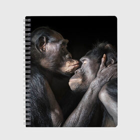 Тетрадь с принтом Шимпанзе в Курске, 100% бумага | 48 листов, плотность листов — 60 г/м2, плотность картонной обложки — 250 г/м2. Листы скреплены сбоку удобной пружинной спиралью. Уголки страниц и обложки скругленные. Цвет линий — светло-серый
 | chimps | family | feelings | kiss | monkeys | primates | любовь | обезьяны | поцелуй | приматы | семья | чувства | шимпанзе