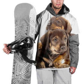 Накидка на куртку 3D с принтом Таксы в Курске, 100% полиэстер |  | Тематика изображения на принте: brothers | dachshunds | kids | pets | puppies | small dogs | братья | животные | маленькие | малыши | собаки | таксы | щенки