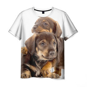 Мужская футболка 3D с принтом Таксы в Курске, 100% полиэфир | прямой крой, круглый вырез горловины, длина до линии бедер | brothers | dachshunds | kids | pets | puppies | small dogs | братья | животные | маленькие | малыши | собаки | таксы | щенки