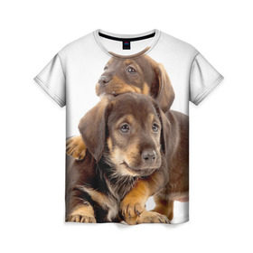 Женская футболка 3D с принтом Таксы в Курске, 100% полиэфир ( синтетическое хлопкоподобное полотно) | прямой крой, круглый вырез горловины, длина до линии бедер | brothers | dachshunds | kids | pets | puppies | small dogs | братья | животные | маленькие | малыши | собаки | таксы | щенки